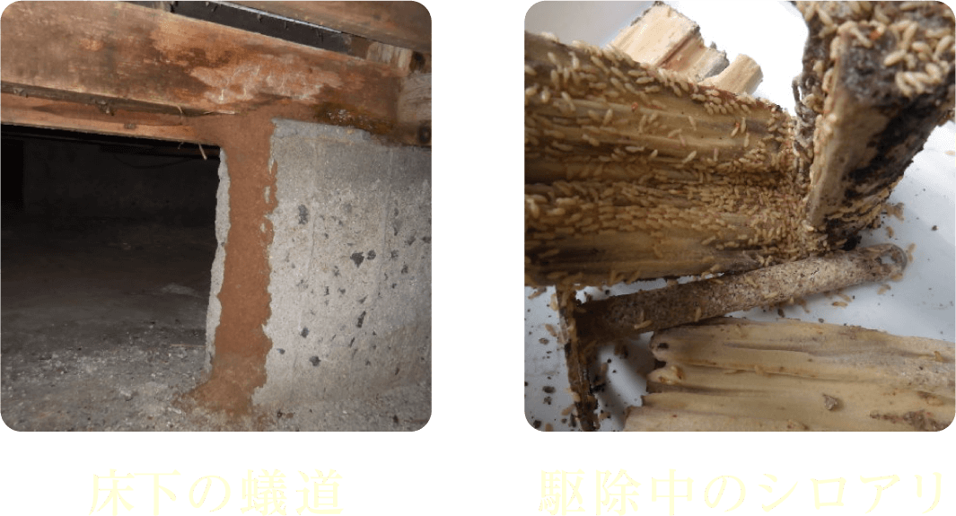 このような環境や症状はありませんか？