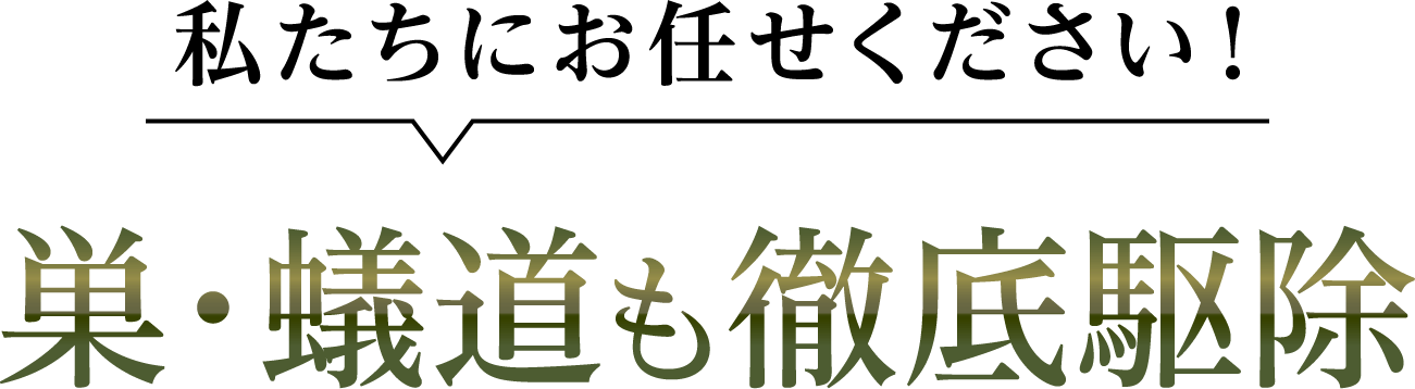 私たちにお任せください！巣・蟻道も徹底駆除